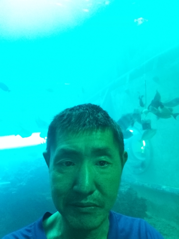 陸戰隊的第一张照片--沧州相亲服务中心
