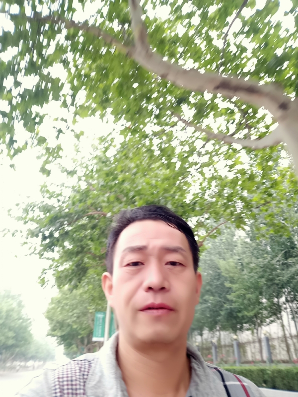 阳光的第一张照片--沧州相亲服务中心