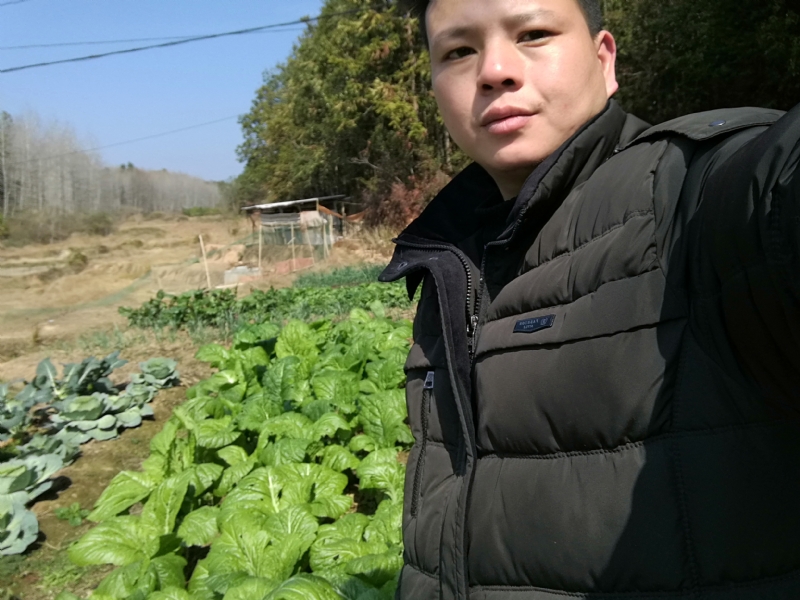 倔强的驴的第一张照片--沧州相亲服务中心