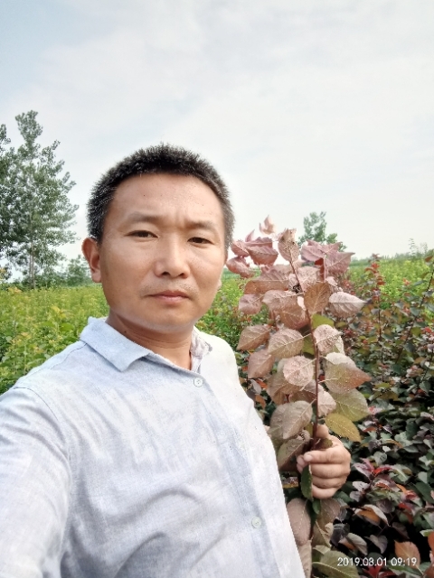 孩子爸的第二张照片--沧州相亲服务中心