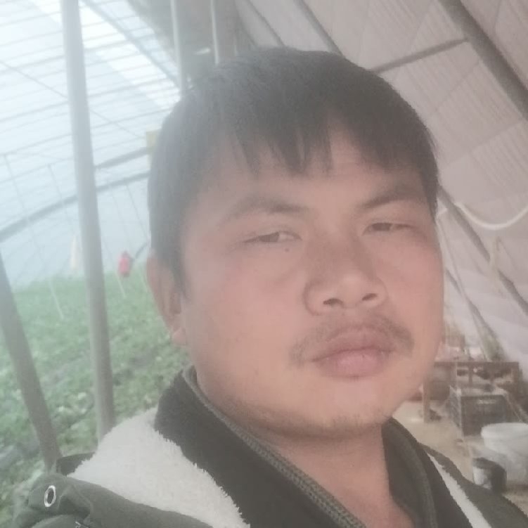 孤狼‘的第一张照片--沧州相亲服务中心