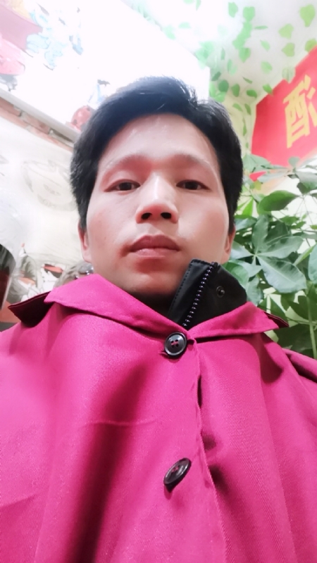 单身的林凡的第二张照片--沧州相亲服务中心
