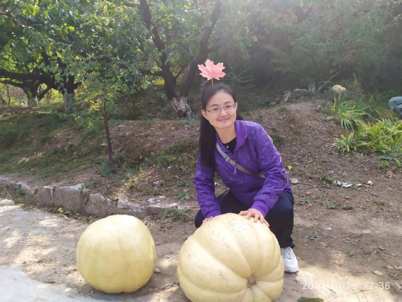 海绵宝宝的第一张照片--沧州相亲服务中心