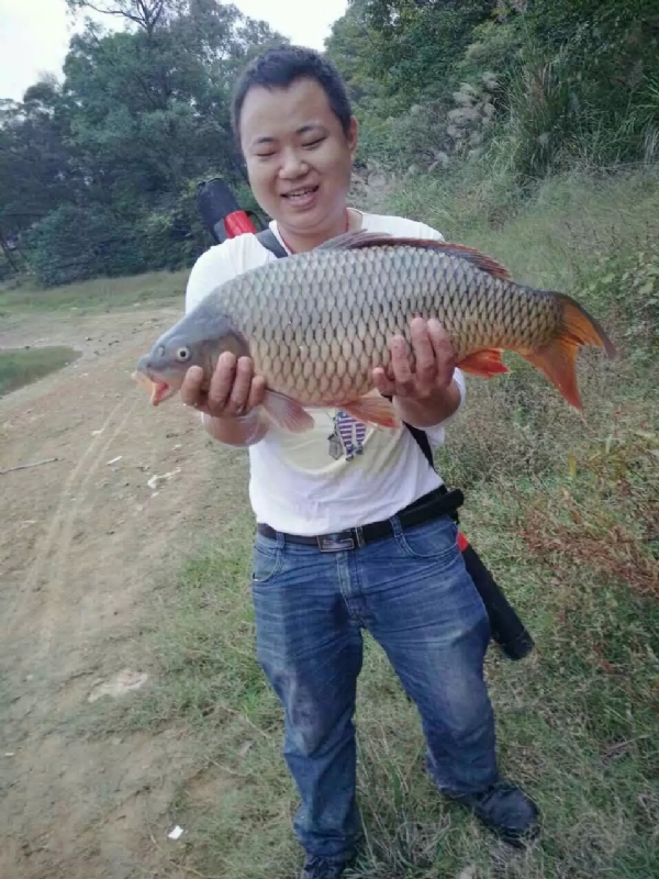 迷路的男人的第一张照片--沧州相亲服务中心