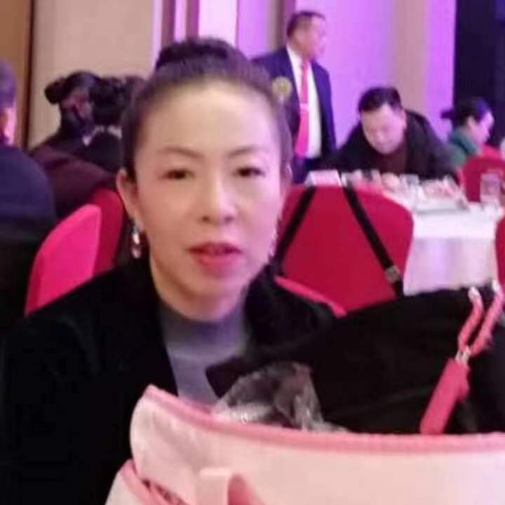 中秋桂花玉兔的第四张照片--沧州相亲服务中心