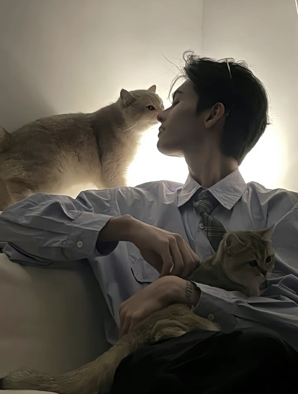 怪猫的第一张照片--沧州相亲服务中心