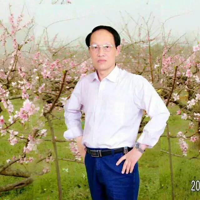 枫叶的第一张照片--沧州相亲服务中心